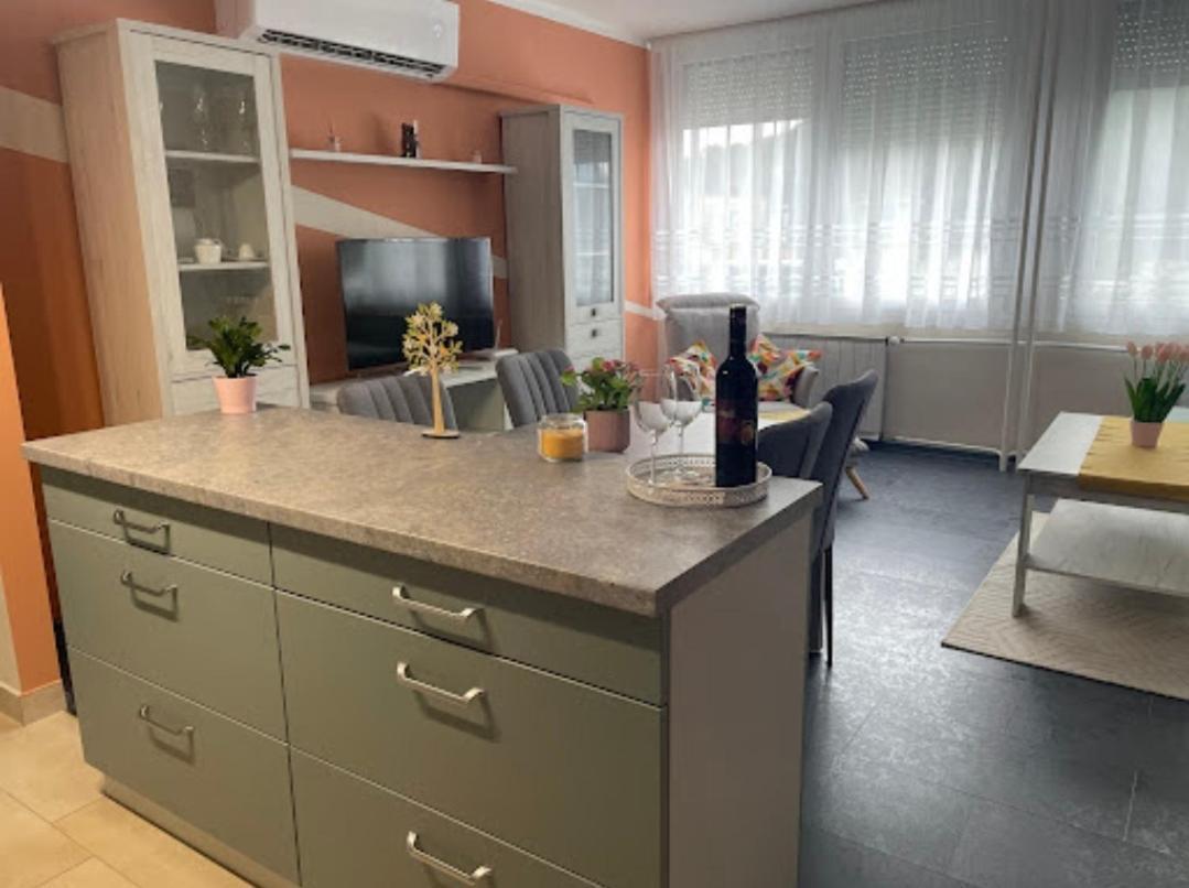 Apartmán Krisztina Apartman Salgótarján Exteriér fotografie
